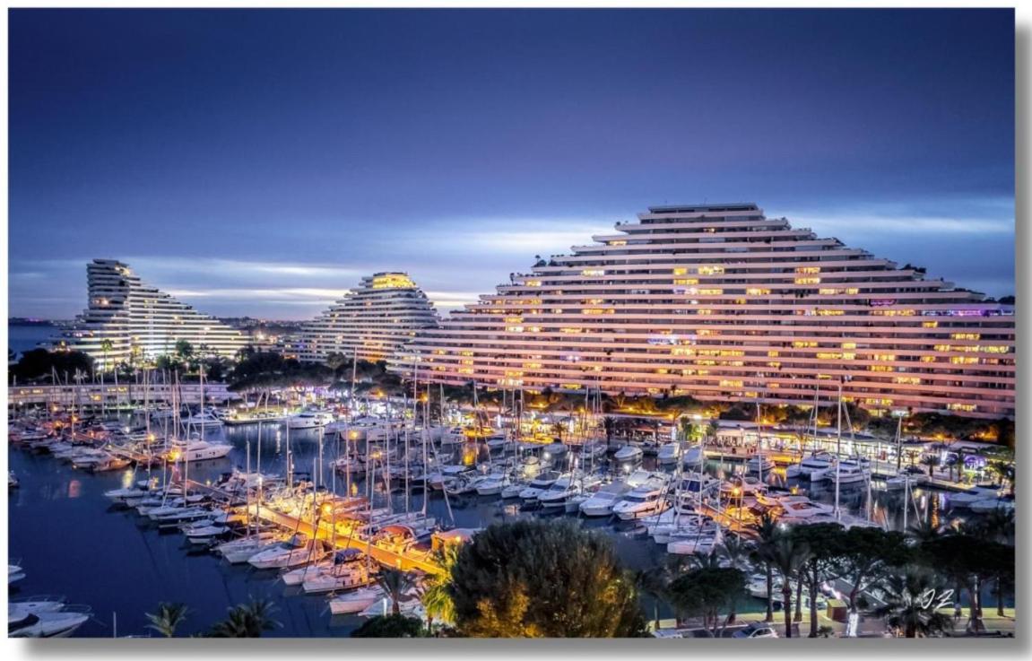 Studio Port Marina - Parking Prive, Climatise Au Ducal Вільнев-Лубе Екстер'єр фото
